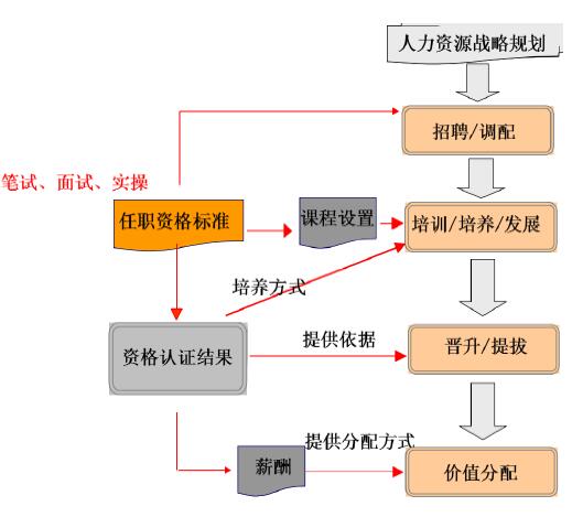 任職資格標(biāo)準(zhǔn)